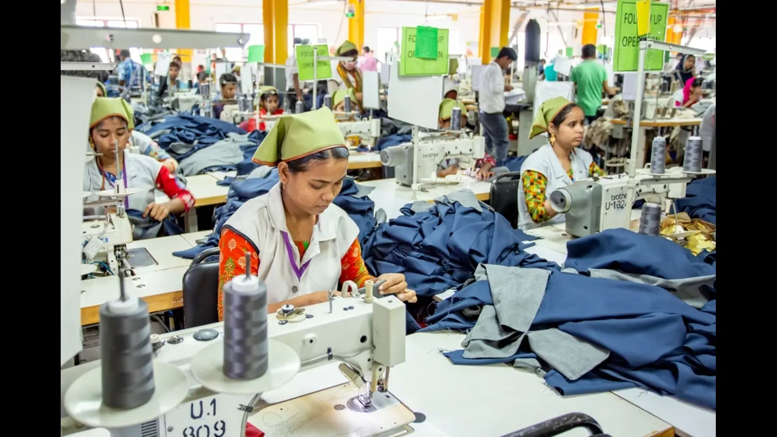 Garment and Textile Pest Control